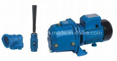 Deep Well Jet Pump (JDW-2")