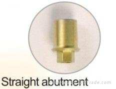 implant abutment