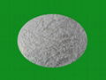 allicin  powder 1