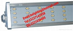 LED Cold Storage Light