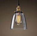 Clear Glass Cloche Filament Pendant lamp 2