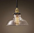 Clear Glass Cloche Filament Pendant lamp 3