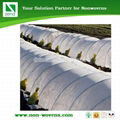 Non-Woven for Plant Cover 1