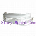 Auto bumper plastic mould 1