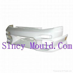 Auto bumper plastic mould