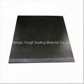 Flexible graphite sheet 1