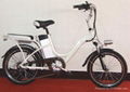 E-BIKE 1