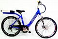 26''E-BIKE