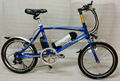 20'' E-BIKE