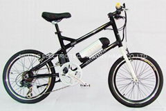 20'' E-BIKE