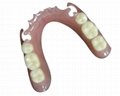 Dental Full/Partial Valplast Denture  1