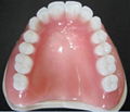 Full/Half Mouth Acrylic Denture 1