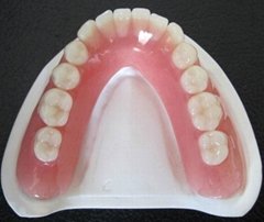 Full/Half Mouth Acrylic Denture