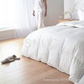 White Goose Down Duvet