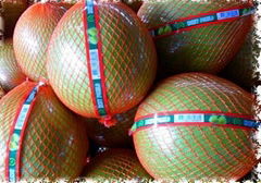 POMELO