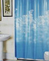 Beautiful PVC swag shower curtain (LY109) 4