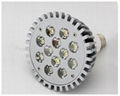 High power PAR 30 E27 LED Spotlight  1