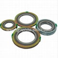 Spiral Wound Gasket (with inner & outer