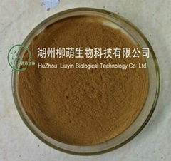 mulberry leaf extract 