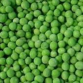 Frozen green pea