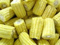 frozen sweet corn 2