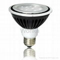 LED PAR30 lamp(65 watts halogen equ)