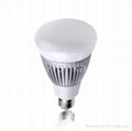 Dimmable LED R30 bulb(65 watts incandescent equ) 1