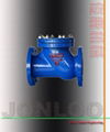 Ball Type Check Valve