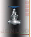 Butt Welded Globe Valve