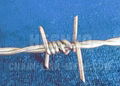 Double twist barbed wire 1