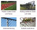 Plastic coated Chain link fence 5