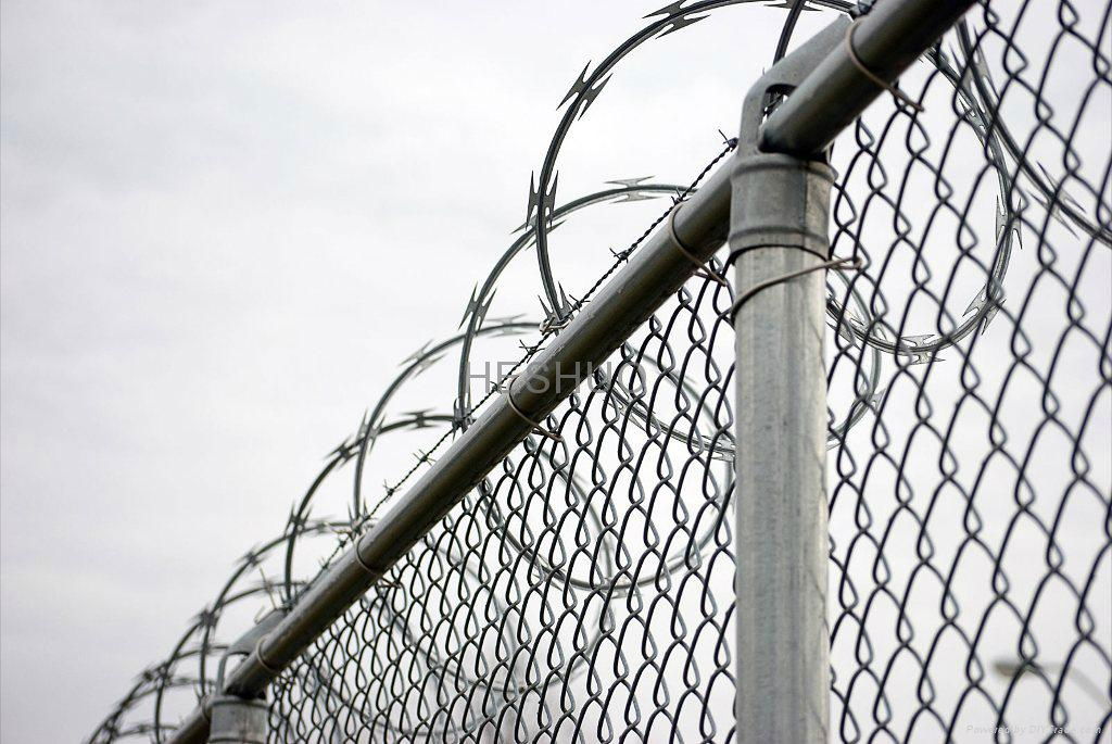 Single loop razor barbed wire