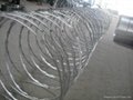 Single loop razor barbed wire 3