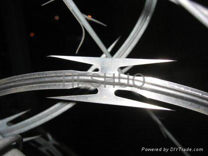 Concertina Razor Wire 3