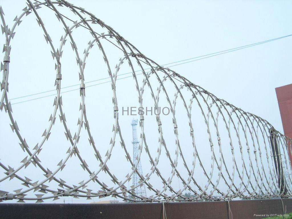 Flat Razor Wire 3