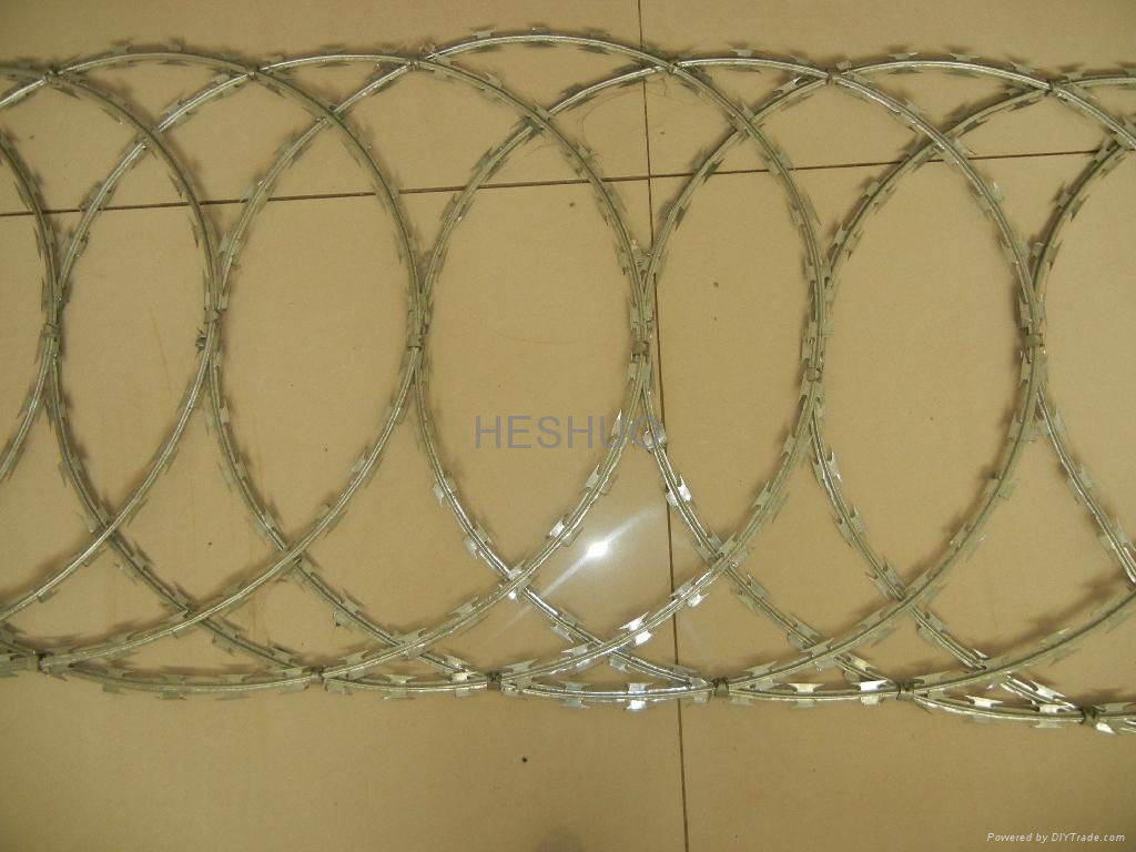 Flat Razor Wire 4