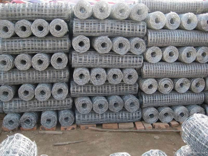 Welded wire mesh  4