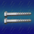 screw spike22x155 4