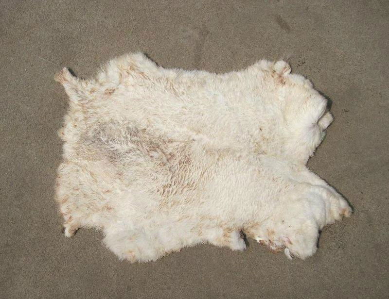 Frozen/Tanned Rabbit Skin 2