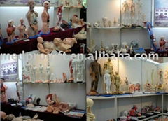 teaching manikins,medical models, anatomical  models