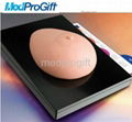 breast model with cards 1