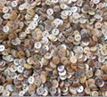 Shell buttons