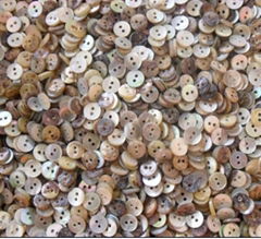 Shell buttons