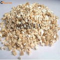 Silver and golden vermiculite 