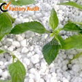 Expanded perlite for horticulture 