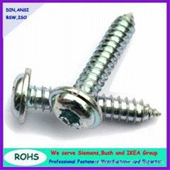 Pan washer head torx self tapping screw