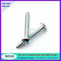 Truss head combination self tapping screw 1