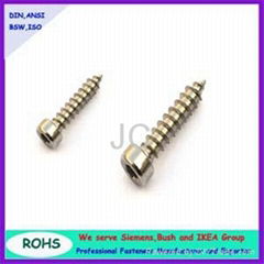 Socket hex cap head self tapping screw