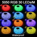 3528&5050 60pcs leds/m waterproof Color