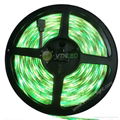 5M 5050 RGB led strip light waterproof+24key controller+12V 5A power supply 3